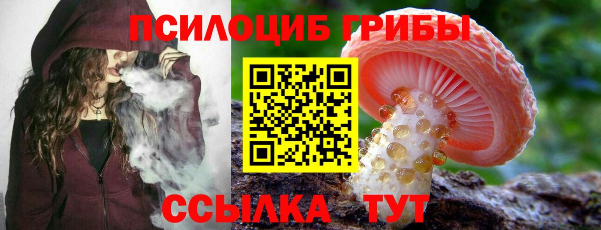 Псилоцибиновые грибы Magic Shrooms Междуреченск